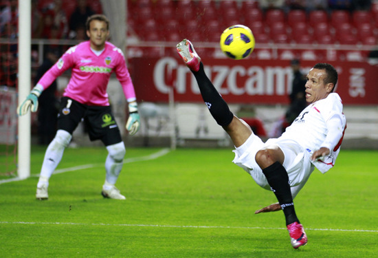 小规模的茶籽油生产线